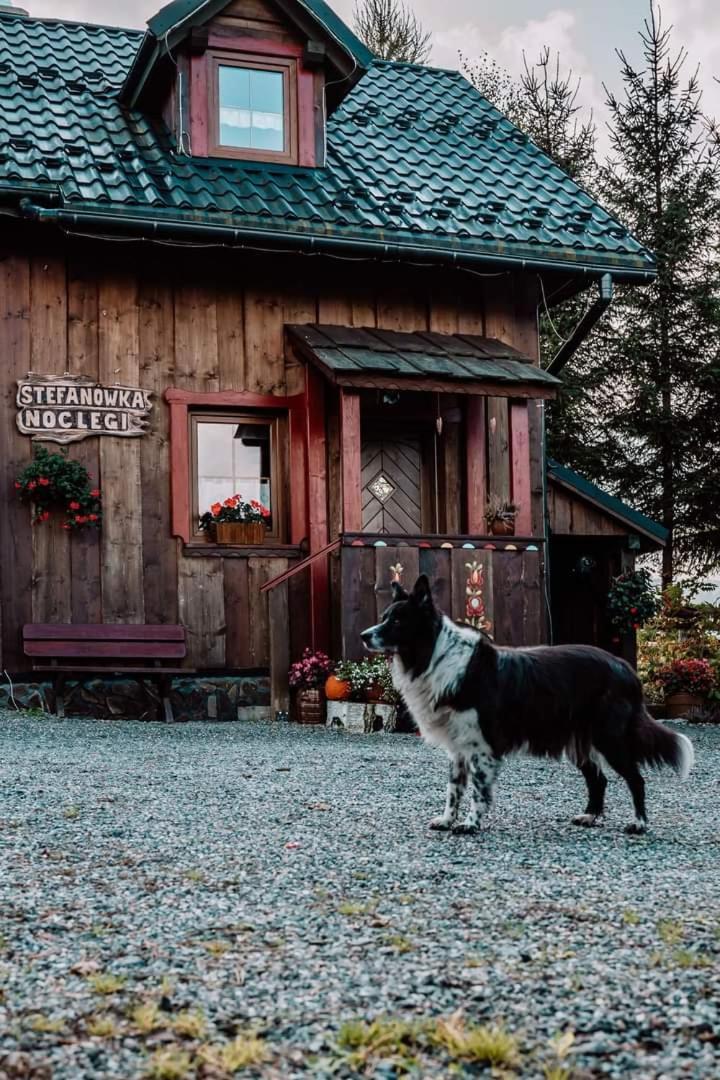 Chata Drewniana Stefanowka Slemien Exterior foto